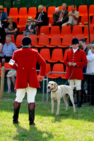 Honiton 2013 CF3 069