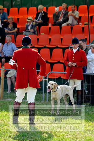 Honiton 2013 CF3 069