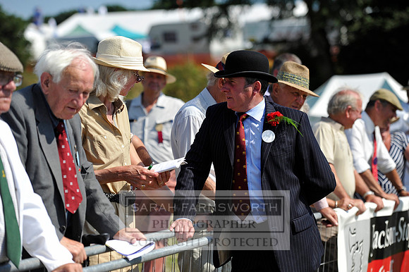 Honiton 2013 CF3 675