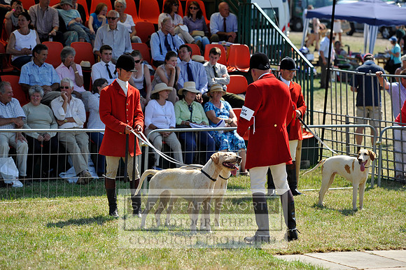 Honiton 2013 CF3 456