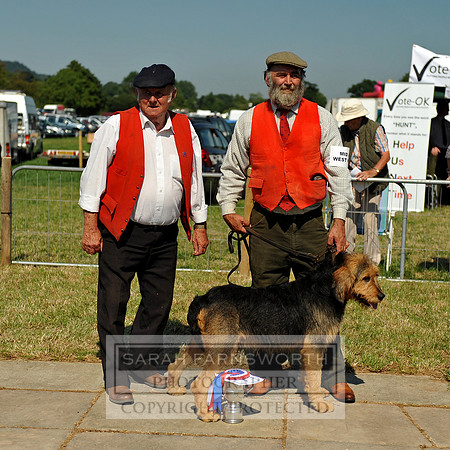 Honiton 2013 CF2 286