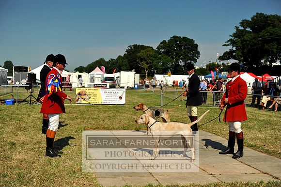 Honiton 2013 CF2 361