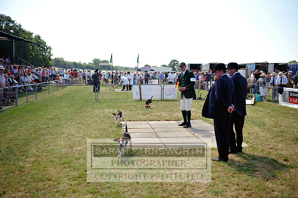 Honiton 2013 CF2 209