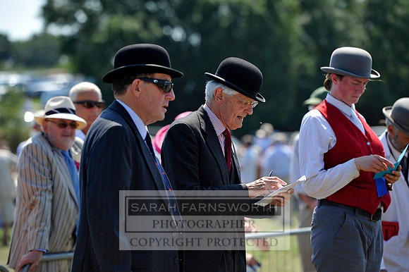 Honiton 2013 CF3 507