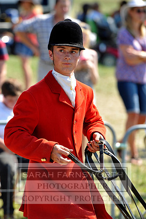 Honiton 2013 CF3 581