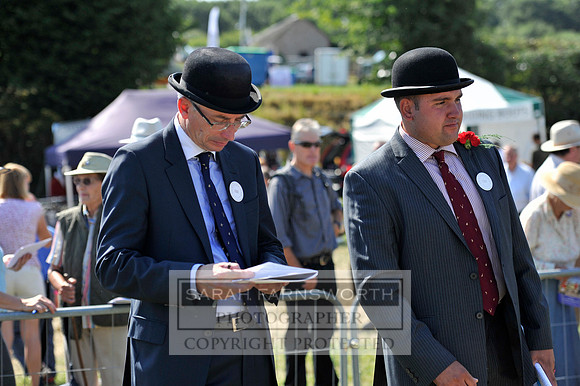 Honiton 2013 CF3 277
