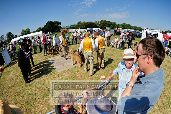 Honiton 2013 CF1 065