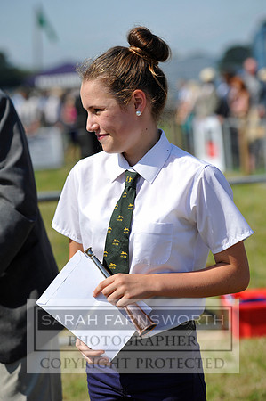 Honiton 2013 CF3 270