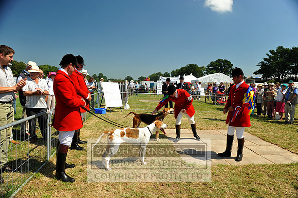 Honiton 2013 CF2 158