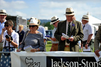Honiton 2013 CF3 031