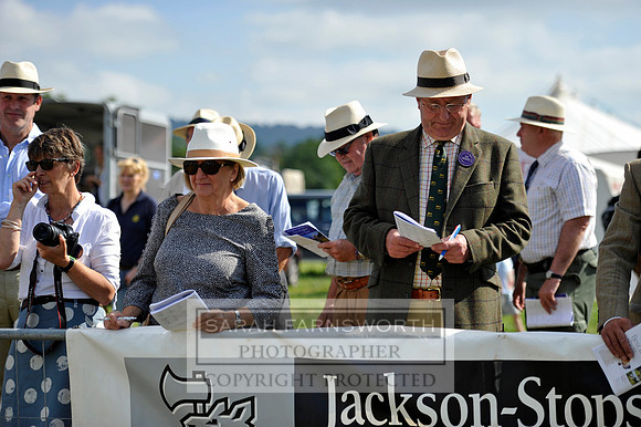Honiton 2013 CF3 031