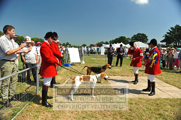 Honiton 2013 CF2 148