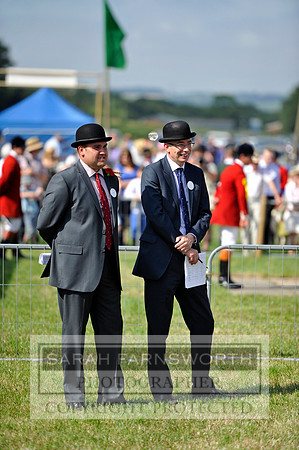 Honiton 2013 CF3 112