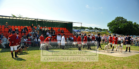 Honiton 2013 CF2 054