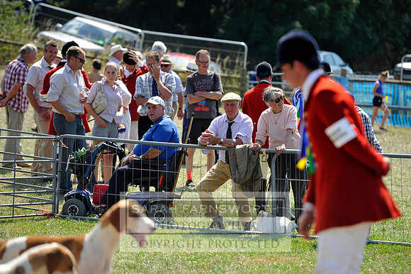 Honiton 2013 CF3 629