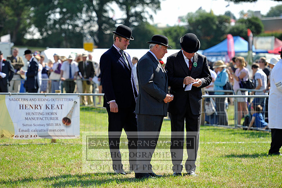 Honiton 2013 CF3 185