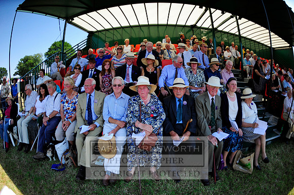 Honiton 2013 CF1 045