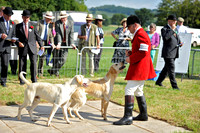 Honiton 2013 CF3 007