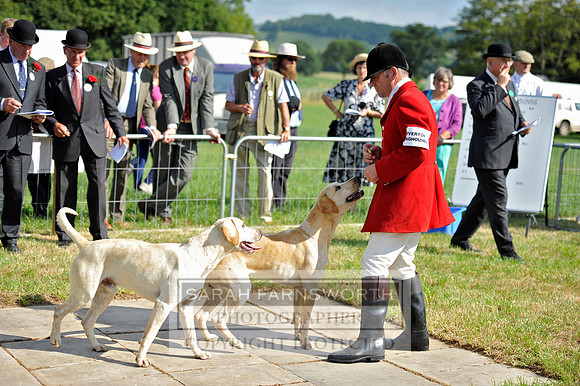 Honiton 2013 CF3 007