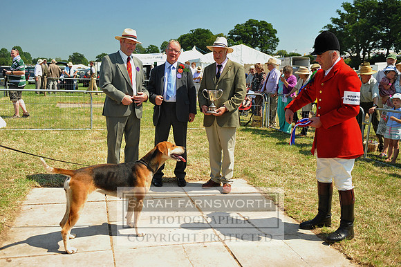 Honiton 2013 CF2 163