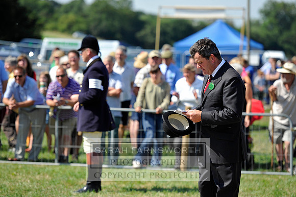 Honiton 2013 CF3 223