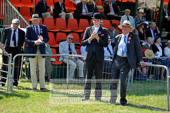 Honiton 2013 CF3 273