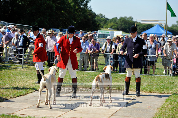 Honiton 2013 CF3 217