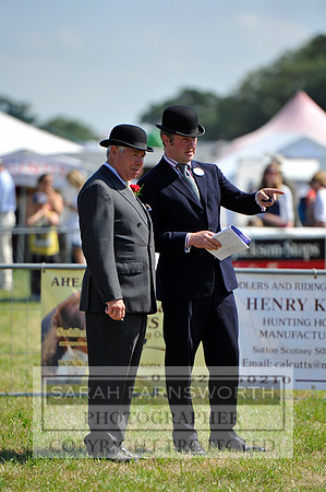 Honiton 2013 CF3 317