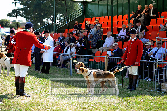Honiton 2013 CF3 316