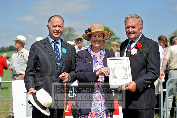 Honiton 2013 CF3 329