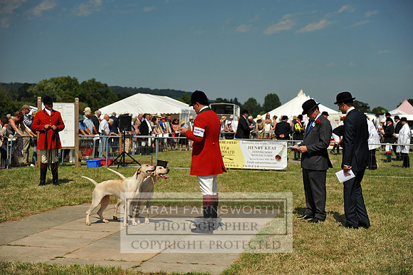 Honiton 2013 CF2 235