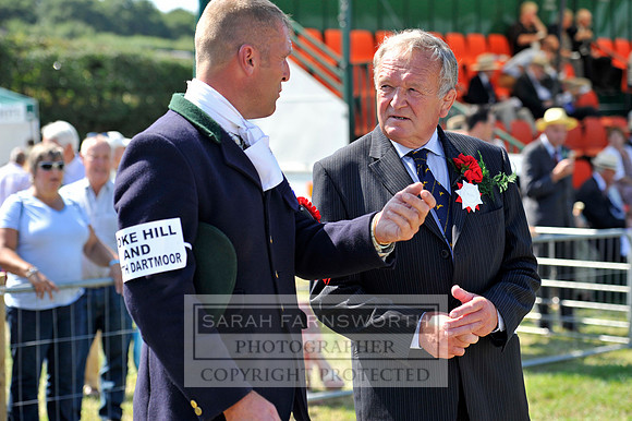 Honiton 2013 CF3 283