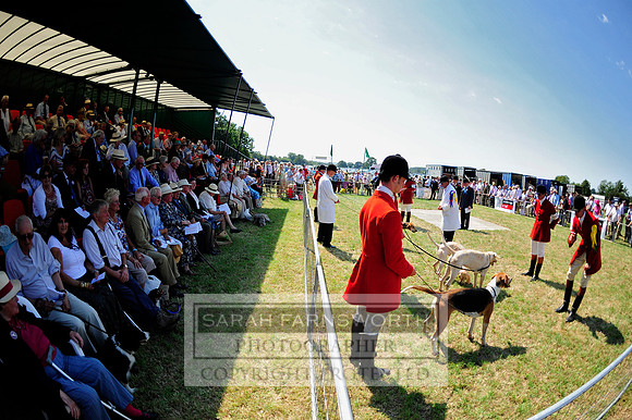 Honiton 2013 CF1 025