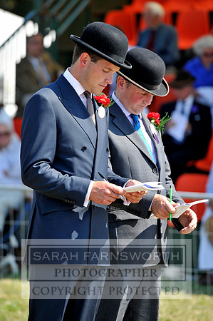 Honiton 2013 CF3 572