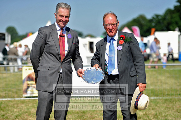 Honiton 2013 CF3 737