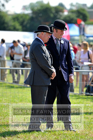 Honiton 2013 CF3 178