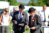 Honiton 2013 CF3 009
