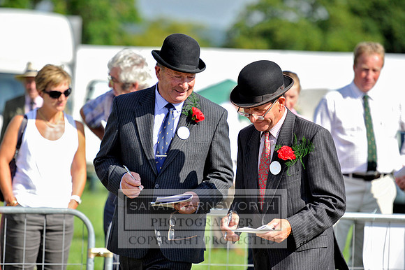 Honiton 2013 CF3 009