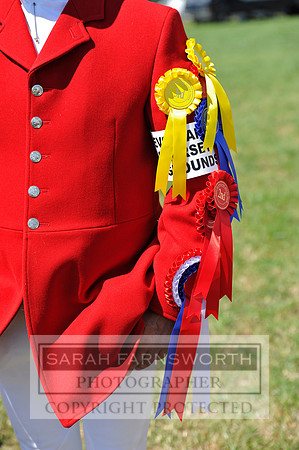 Honiton 2013 CF3 425