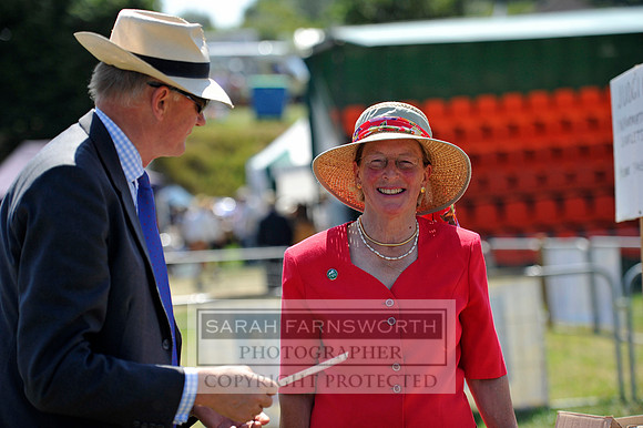 Honiton 2013 CF3 414