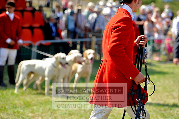 Honiton 2013 CF3 339