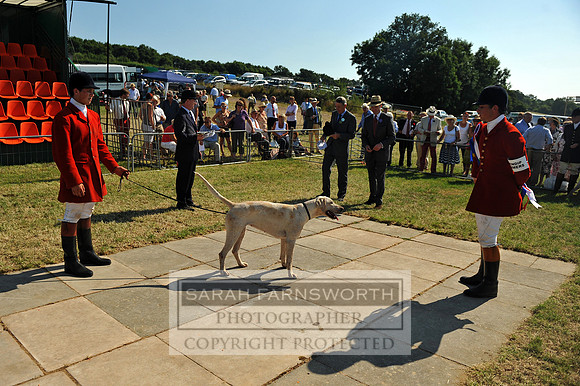 Honiton 2013 CF2 343