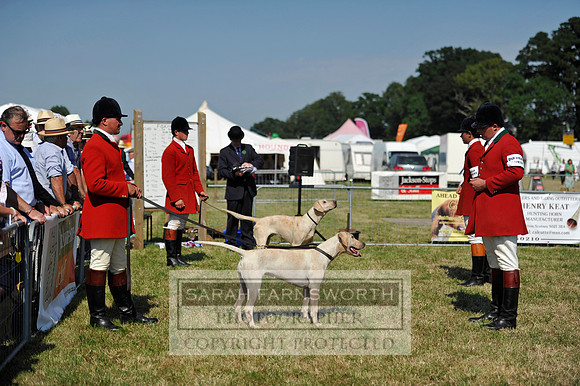 Honiton 2013 CF3 772