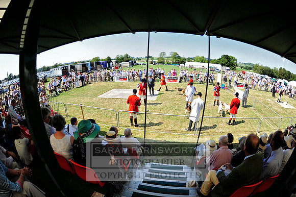 Honiton 2013 CF1 026