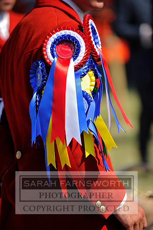 Honiton 2013 CF3 792