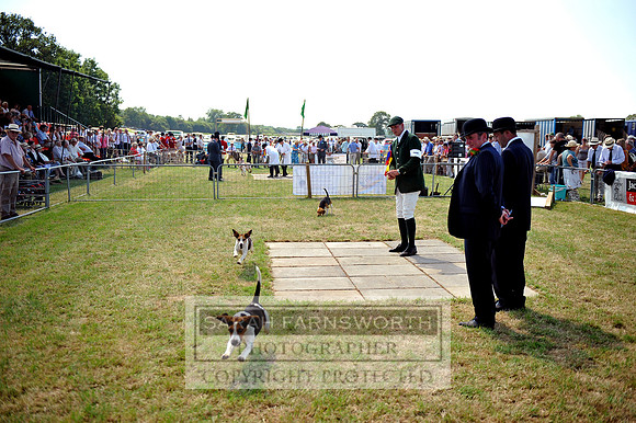 Honiton 2013 CF2 211