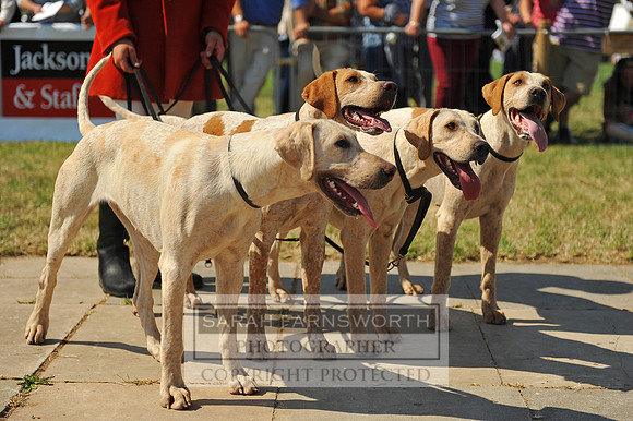 Honiton 2013 CF2 332
