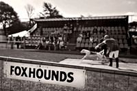 Honiton 2013 CF2 005 bw