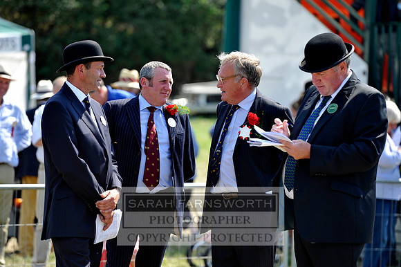 Honiton 2013 CF3 645