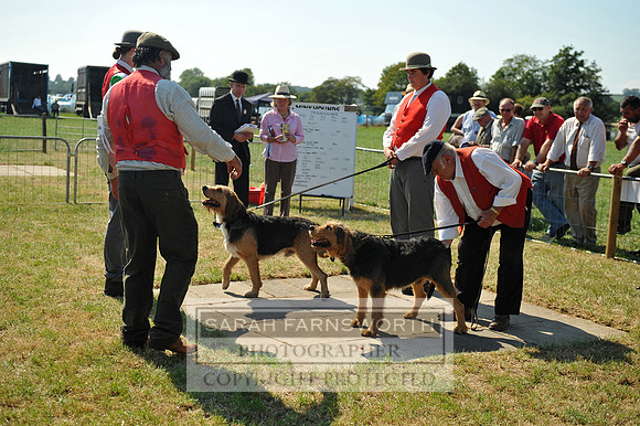 Honiton 2013 CF2 266